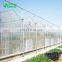 Low Price Agricultural Greenhouse& Multispan Tunnel Greenhouse for strawberry grape raspberry