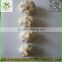 Chinese 2016 Fresh Garlic Price Purple/Red/Pure White Garlic