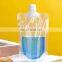 Fashion Pack Stand Up Foil Beverage Coconut Water Bag with Spout 5 15 20 oz