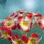 Halloween navidad  new products Plumeria  Flower Lights