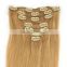 Brazilian 100% remy human clip in hair extension