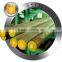 forged GCr15 bearing steel round bar