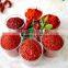 200 Asta Really Good Grade Dry Paprika Powder
