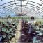 high quality transparent greenhouse film , agricultural film, farm film