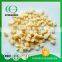 Freeze Dried Apple Slice
