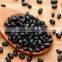 China black beans with best price for sale