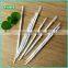 Oratek Brand Patented Plastic Brush Pick