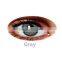 I-CODI KOREA 15.00mm eye contact lenses wholesale