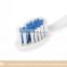 Shinemax cheap toothbrush best toothbrush hot sale in 2016