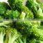Frozen Broccoli Florets High Quality Green and Healthy