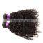  Peruvian Human Hair Virgin Kinky Curly Hair Extensions,Afro Kinky Curly Human Hair Extensions