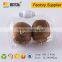 Plastic Kiwi Fruit Custom Clamshell Boxes Packaging