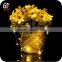 China Party Favor Latest Types Button Battery Operated String LED