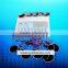 Powerful Electric Muscle Stimulator EMS Slimming Machine