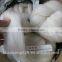 Chinese wool top 24MIC, 75MM, natural white color.