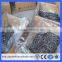 Pakistan high quality polished iron common wire nails for building(Guangzhou Factory)