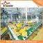 hot hot juice production lemon beverage hot filling machine lemon processing machine