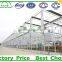 Price of Agricultural Multi Span Greenhouse Structure