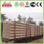 Plastic PVC (polyethylene) pipe for water line
