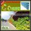 China Supplier Self Watering Hydroponic Grow Systems Vertical Green Wall Gardening Pots Sol Y206