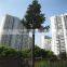 2015 artificial large types of communication tower tree