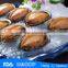 Frozen seafood frozen ormer on sale