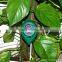Top quality hydroponic soil PH /Moisture/Light meter