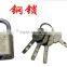 Berrylion nickel plated short shakle padlock for security