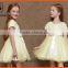 2015 new arrival little girls cotton summer dresses wholesale frock girls dress frozen elsa dress
