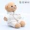 Wholesale personalized colorful cute teddy bears with clothes