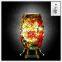 Qin Yuan art desk lamp, desk lamp of custom, creative desk lamp, decoration lamp, LED lamp (Da003)