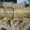 Seagrass Cord, Seagrass Rope, 3/4mm, 4/5mm,