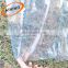 Factory price uv treated plastic greenhouse poly clear plastic film