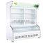 Cold Food Display Refrigerator 2 Glass Door Defrost Freezer Upright for Fruit and Vegetables China Manufacturer