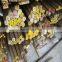 ASTM C36000 Brass Rod,C36000 Brass Bar