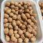 2020 The Best New Crop Liaoxi  Walnut Inshell