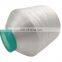 factory supply high tenacity high stretch 150tpm nylon white yarn 100d 2 twisted