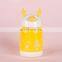 Private Label Fancy Portable School Glass Pink Luxury Drinking Eco Friendly Custom Kids Water Bottle