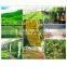 Yellow fruit fly catcher sticky glue trap paper board product killer insect with fly lure in garden