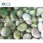 Crop IQF Bulk Fresh Broad Beans Quality Fava Bean Export