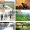 Chinese Wp20 Wp30 5.5HP 6.5HP Agricultural Farm Irrigation High Pressure 2Inches 3 Inches Gasoline Water Pumps Machine For Sale
