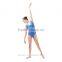 Graceful Adult Ballet Leotard V Neck Dance Leotard Girls Gymnastics Leotard Wholesale