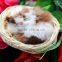 Cute Small Sleeping Plush Toy Cat with Long Fur