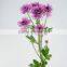 Bottom price new products colorful purple chrysanthemums