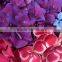 Best quality Crazy Selling classical nice styles hydrangeas