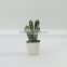 Pure Handmade high simulation mini potted Artificial Succulent plants