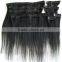 Fast shipping  clip-in human hair extensions 100% human hair best selling