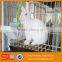 industrial cage for rabbit/ welded rabbit cage wire mesh / rabbit cage in kenya farm