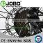PAS System Mid Drive 700C Lithium Ion Electric Bicycle With LCD Display (JB-TDA15L)