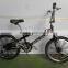 20 Inch Custom Steel Freestyle Bike /BMX Bicycle